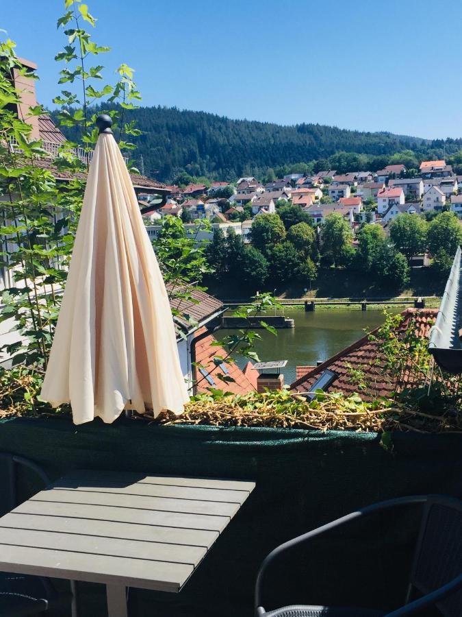 Natur Und Neckarblick Bei Heidelberg Хиршхорн Экстерьер фото