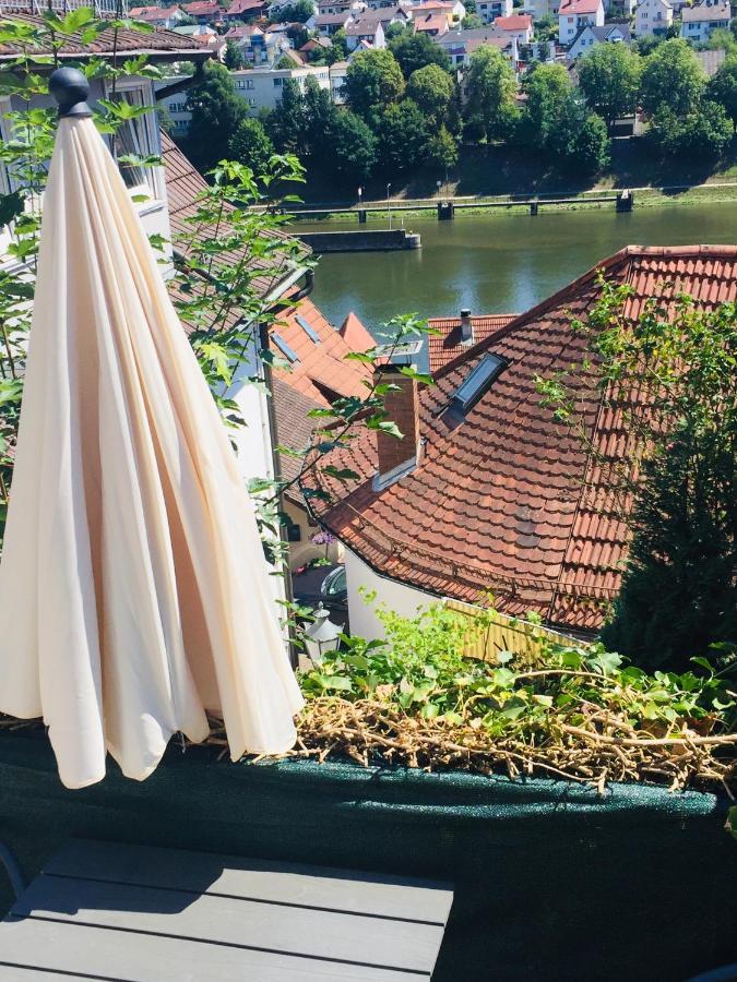 Natur Und Neckarblick Bei Heidelberg Хиршхорн Экстерьер фото