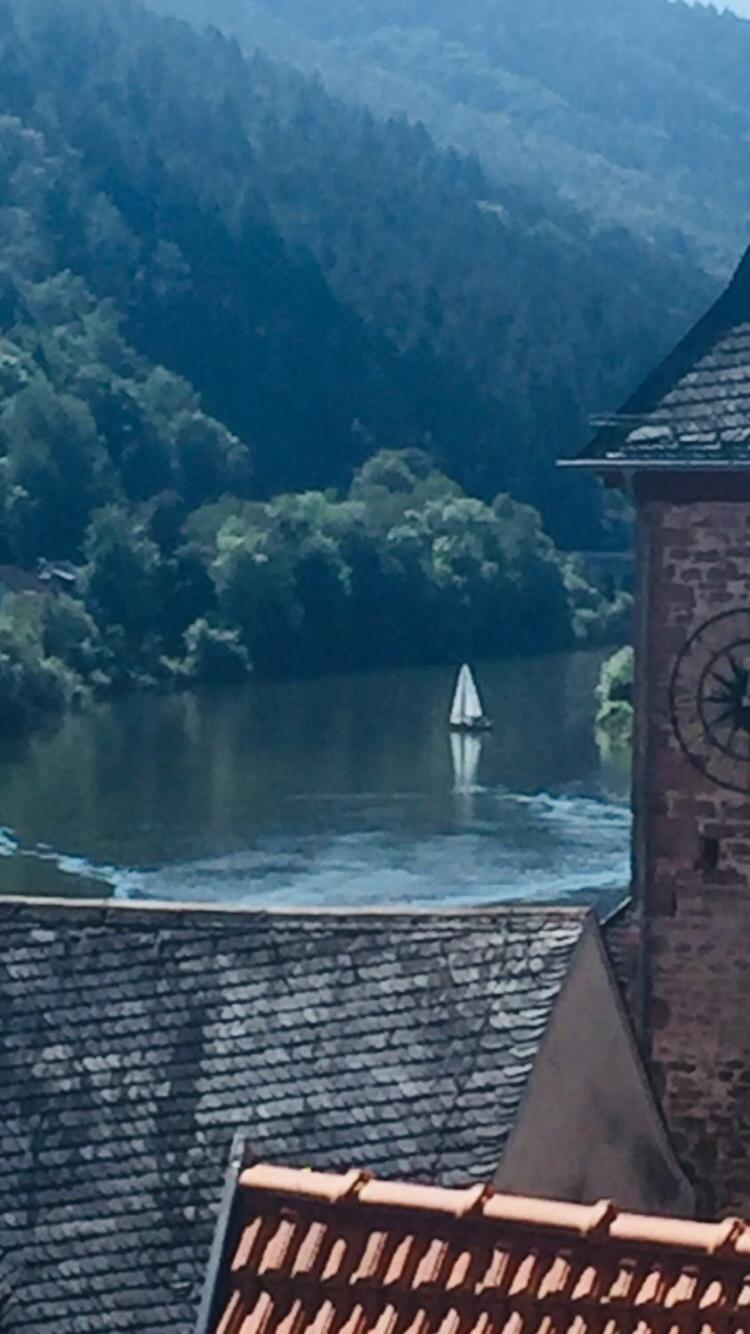 Natur Und Neckarblick Bei Heidelberg Хиршхорн Экстерьер фото