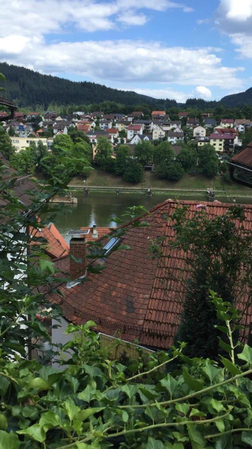 Natur Und Neckarblick Bei Heidelberg Хиршхорн Экстерьер фото
