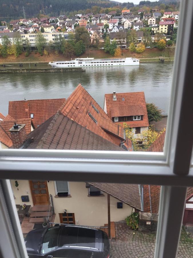 Natur Und Neckarblick Bei Heidelberg Хиршхорн Экстерьер фото