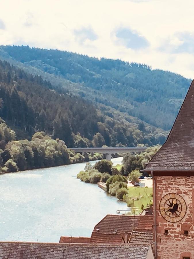 Natur Und Neckarblick Bei Heidelberg Хиршхорн Экстерьер фото