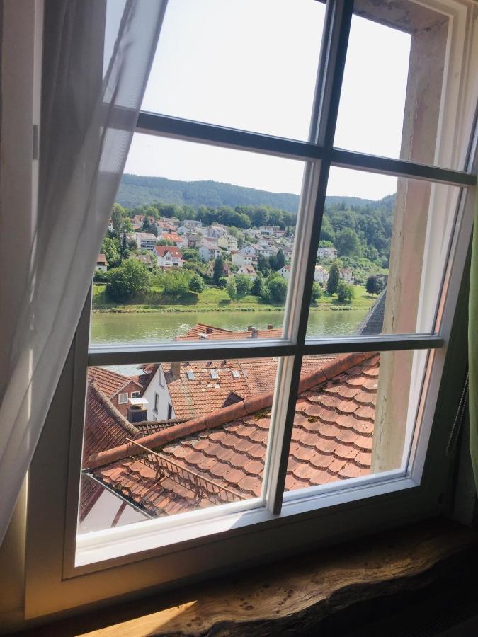 Natur Und Neckarblick Bei Heidelberg Хиршхорн Экстерьер фото