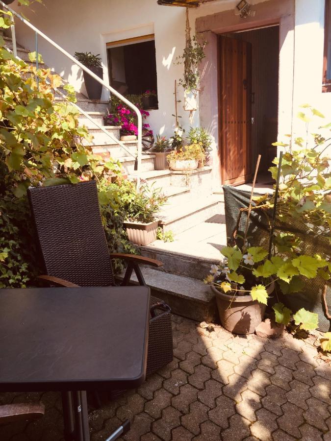 Natur Und Neckarblick Bei Heidelberg Хиршхорн Экстерьер фото