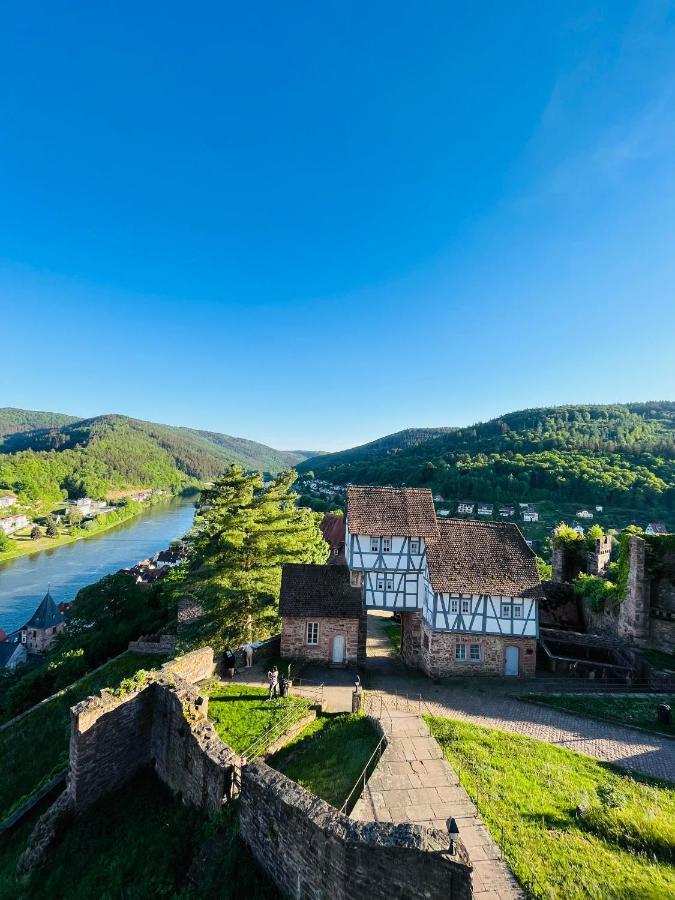 Natur Und Neckarblick Bei Heidelberg Хиршхорн Экстерьер фото