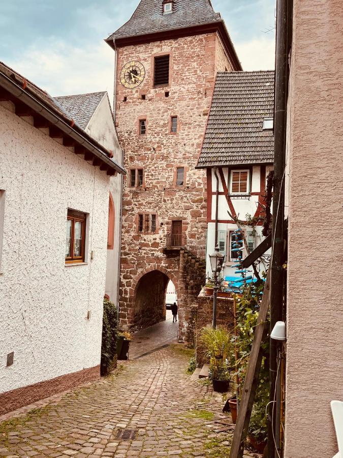 Natur Und Neckarblick Bei Heidelberg Хиршхорн Экстерьер фото