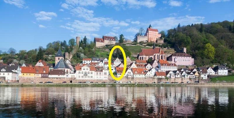 Natur Und Neckarblick Bei Heidelberg Хиршхорн Экстерьер фото