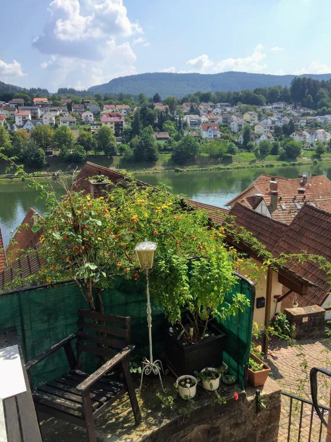 Natur Und Neckarblick Bei Heidelberg Хиршхорн Экстерьер фото