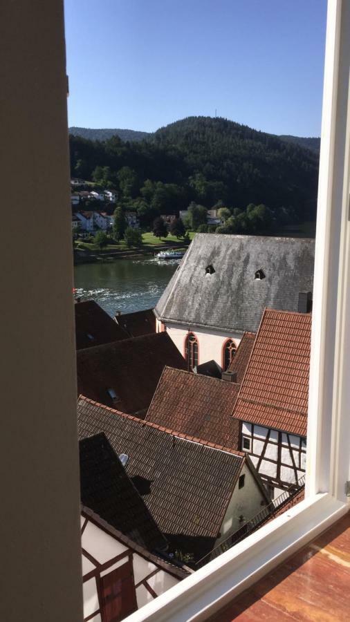 Natur Und Neckarblick Bei Heidelberg Хиршхорн Экстерьер фото