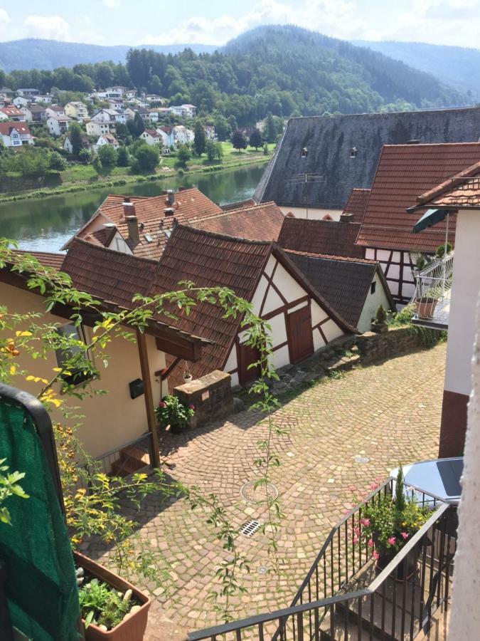 Natur Und Neckarblick Bei Heidelberg Хиршхорн Экстерьер фото